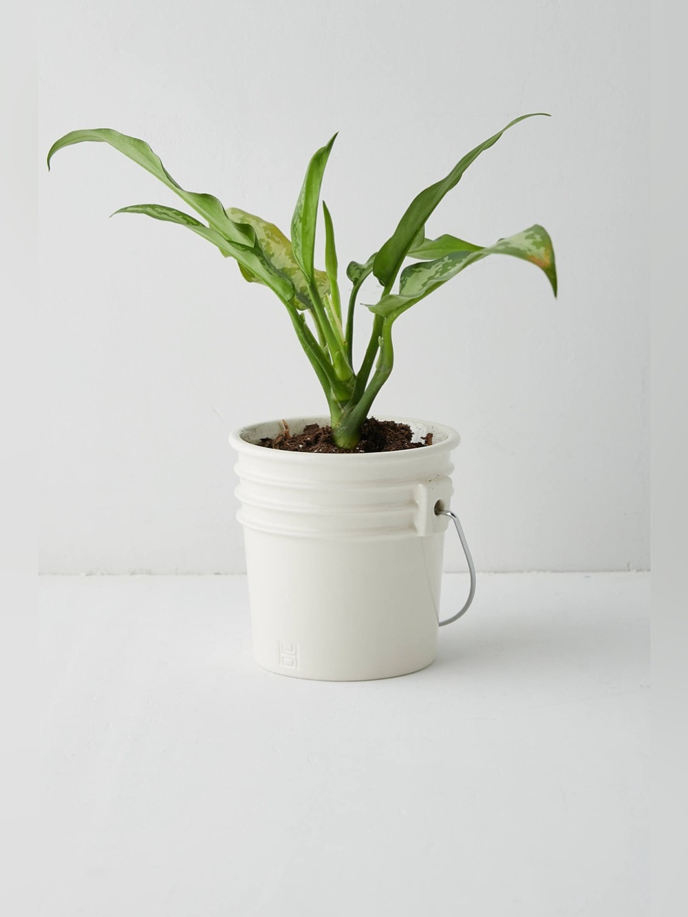 Urban Outfitters Bucket Planter